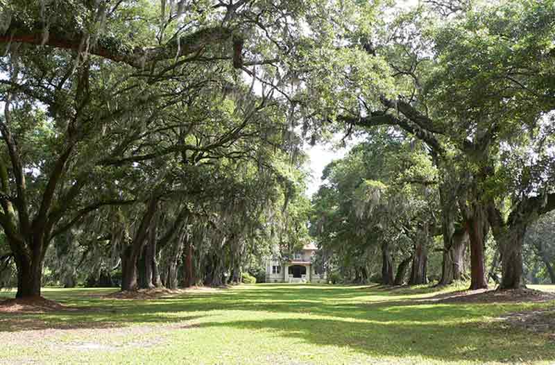 Oak Lawn Plantation